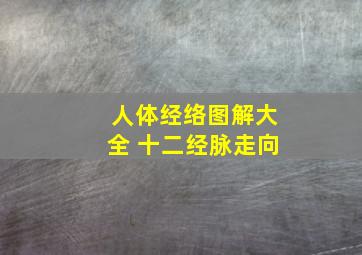 人体经络图解大全 十二经脉走向